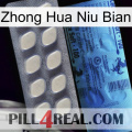 Zhong Hua Niu Bian 34